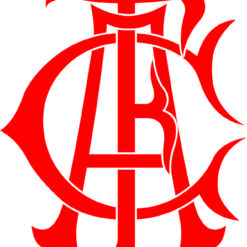 Escudo America do Rio Arte para silk
