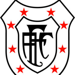 Escudo Americano Arte para silk