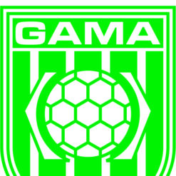 Escudo gama2 Arte para silk