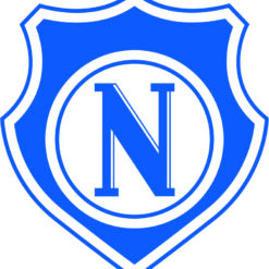 Escudo nacional_fc-am  Arte para silk