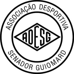 adesg_ac Arte para silk