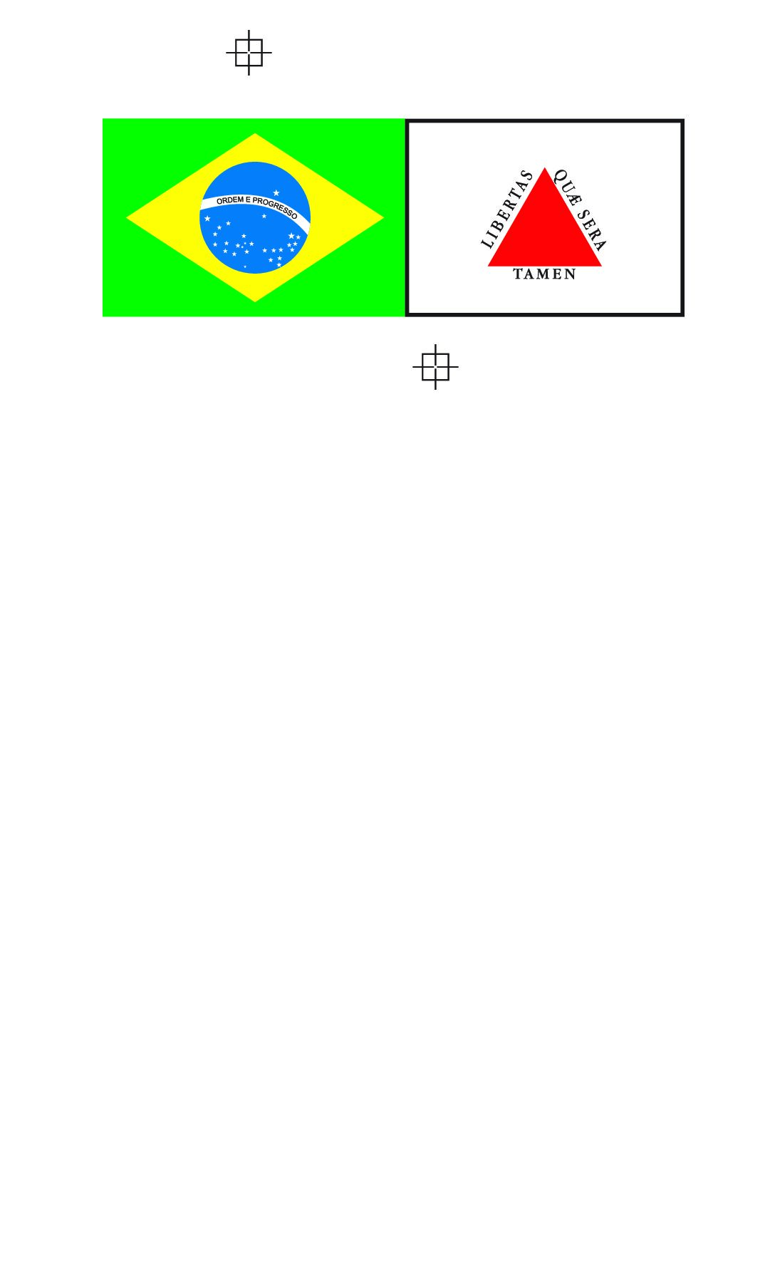 Imagens vetoriais Bandeira brasil