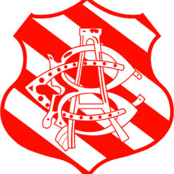 escudo Bangu Arte para silk   vetor