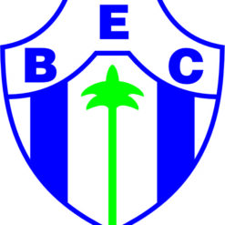 escudo bacabal_ec_ma  Arte para silk   vetor