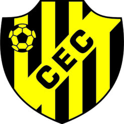 escudo castanhal_ec_pa Arte para silk   vetor