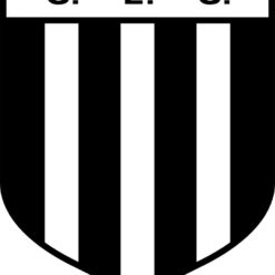 escudo comercial_ec_ms Arte para silk   vetor