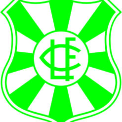 libermorro Arte para silk  escudo do Amazonas vetor