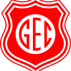 escudo guajara_ec_ro Arte para silk   vetor