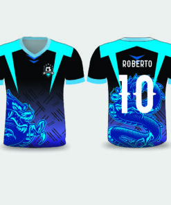 INTERCLASSE DRAGÃO AZUL ARTE PARA SUBLIMAÇÃO