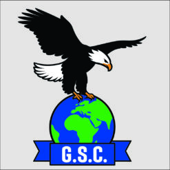 gremio_sportivo_castilho_de_sao_vicente aguia   Arte para silk